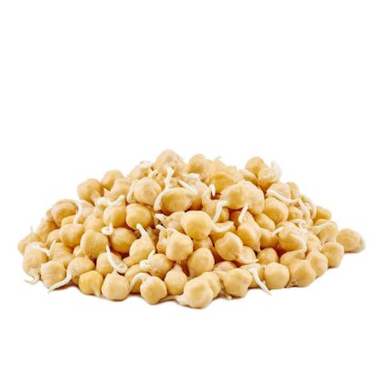 Organic Garbanzo Sprouts	 Organic Garbanzo Sprouts