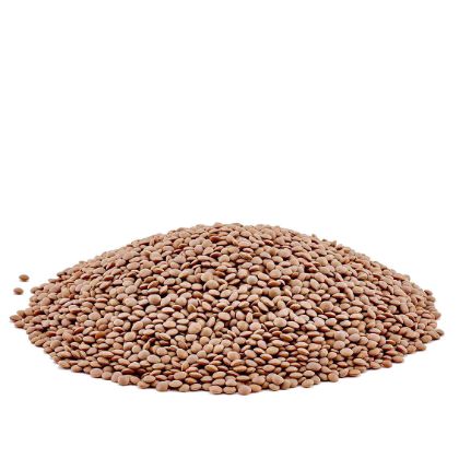 Organic Lentil Beans	 Organic Lentil Beans
