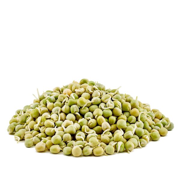 Organic Pea Bean	
