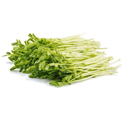 Organic Pea Green Organic Pea Green