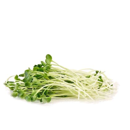Organic Radish Sprouts	 Organic Radish Sprouts