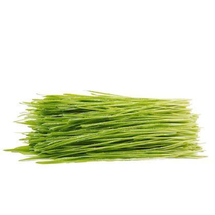 Organic Wheatgrass Organic Wheatgrass