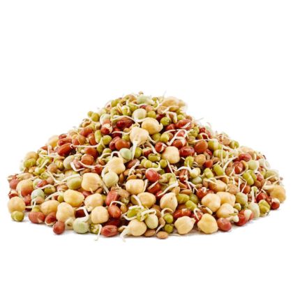ORGANIC SPROUTED MIXED BEANS ORGANIC SPROUTED MIXED BEANS