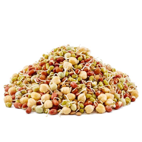 ORGANIC SPROUTED MIXED BEANS